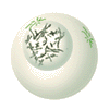 prophase.gif - 4497 Bytes